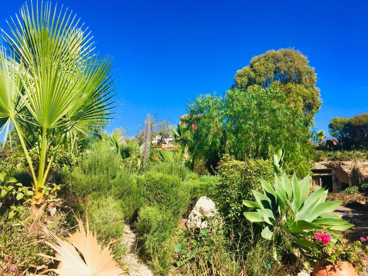 Tenerife Nature Retreat Ifonche Εξωτερικό φωτογραφία