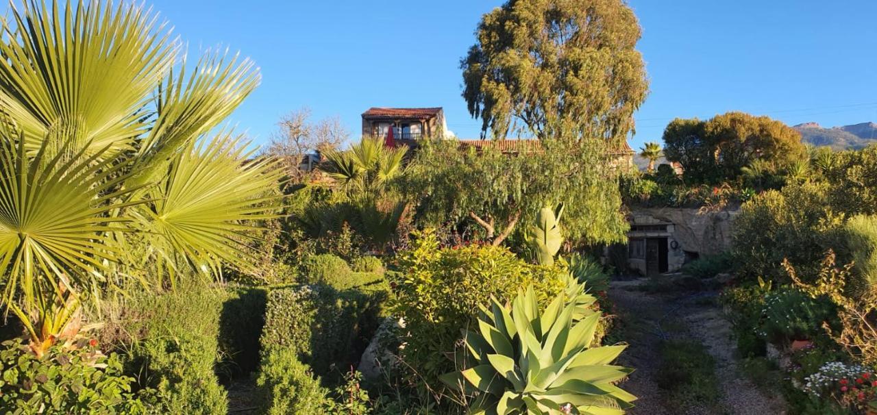 Tenerife Nature Retreat Ifonche Εξωτερικό φωτογραφία