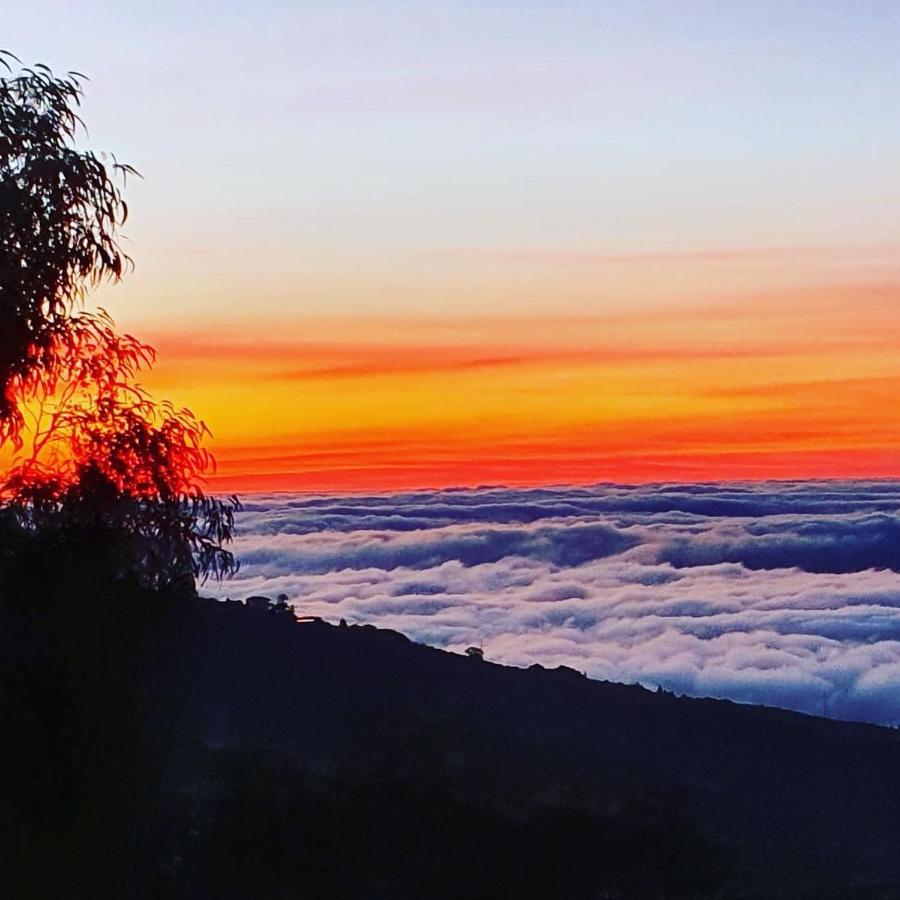 Tenerife Nature Retreat Ifonche Εξωτερικό φωτογραφία