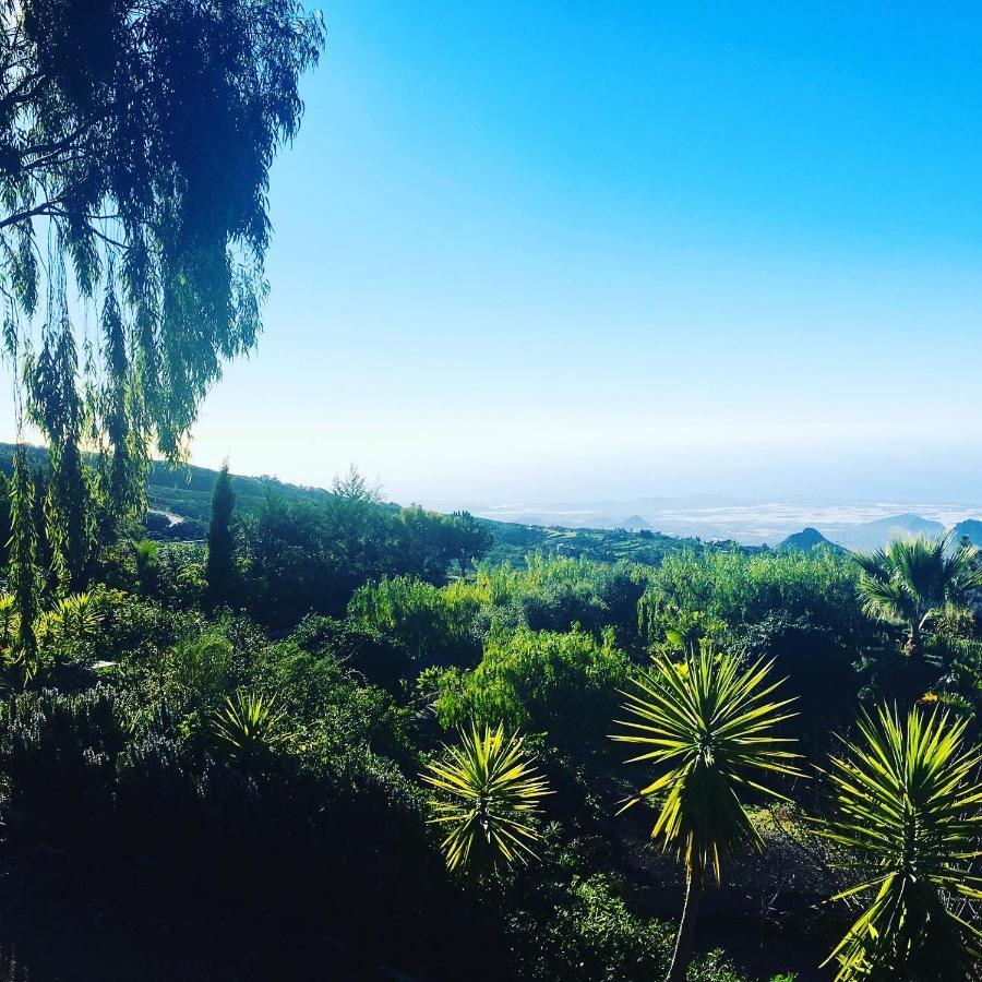Tenerife Nature Retreat Ifonche Εξωτερικό φωτογραφία
