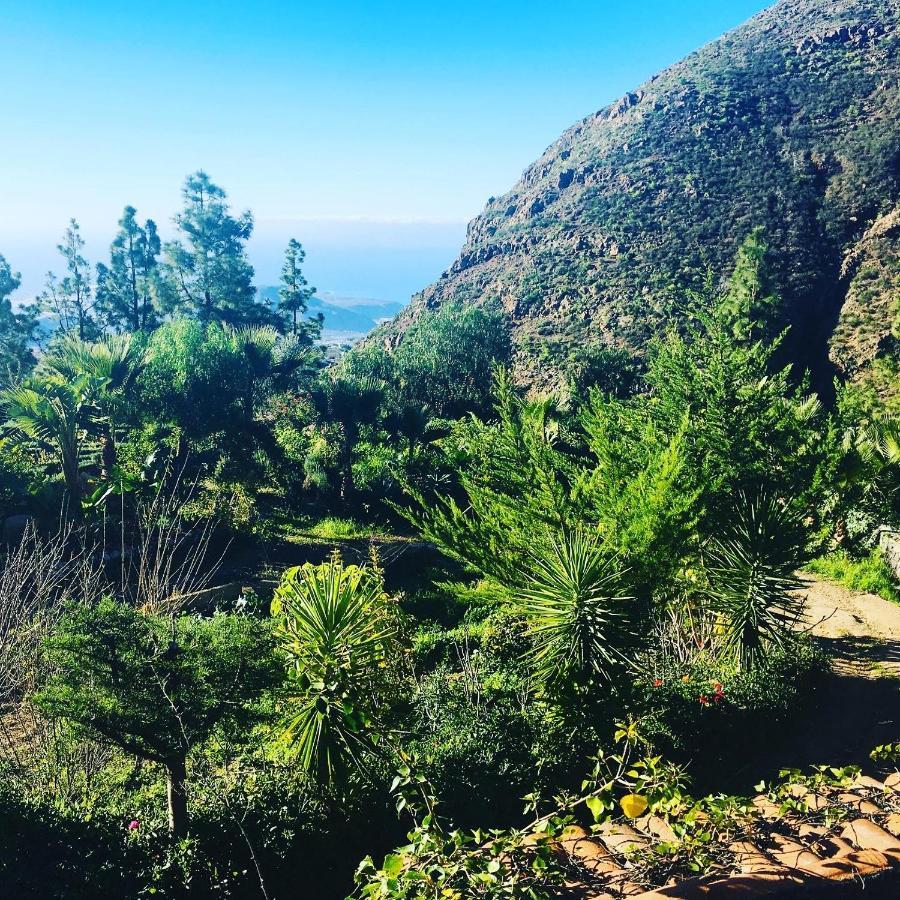Tenerife Nature Retreat Ifonche Εξωτερικό φωτογραφία