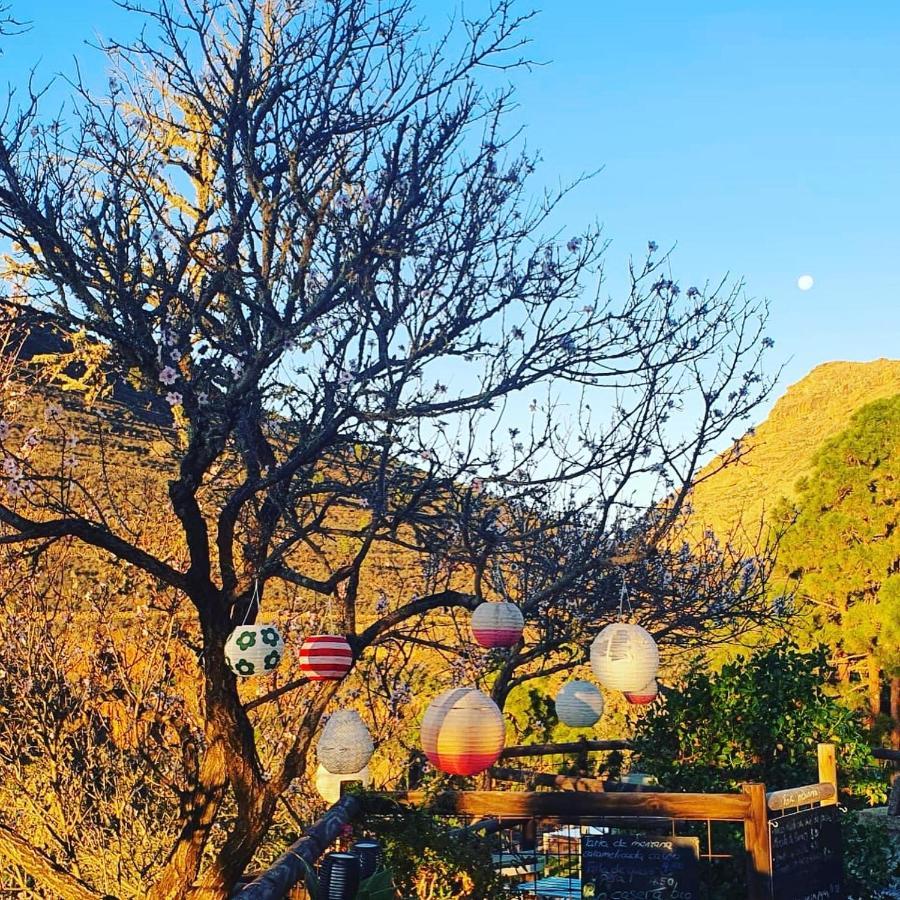 Tenerife Nature Retreat Ifonche Εξωτερικό φωτογραφία