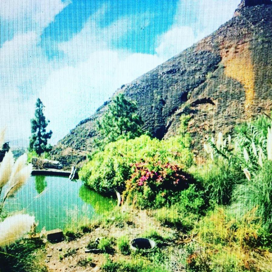 Tenerife Nature Retreat Ifonche Εξωτερικό φωτογραφία